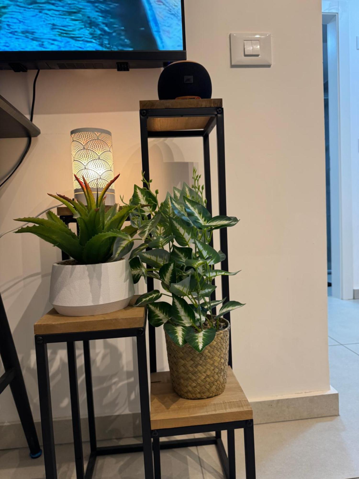 Apartament פסגת הדקל Ejlat Zewnętrze zdjęcie